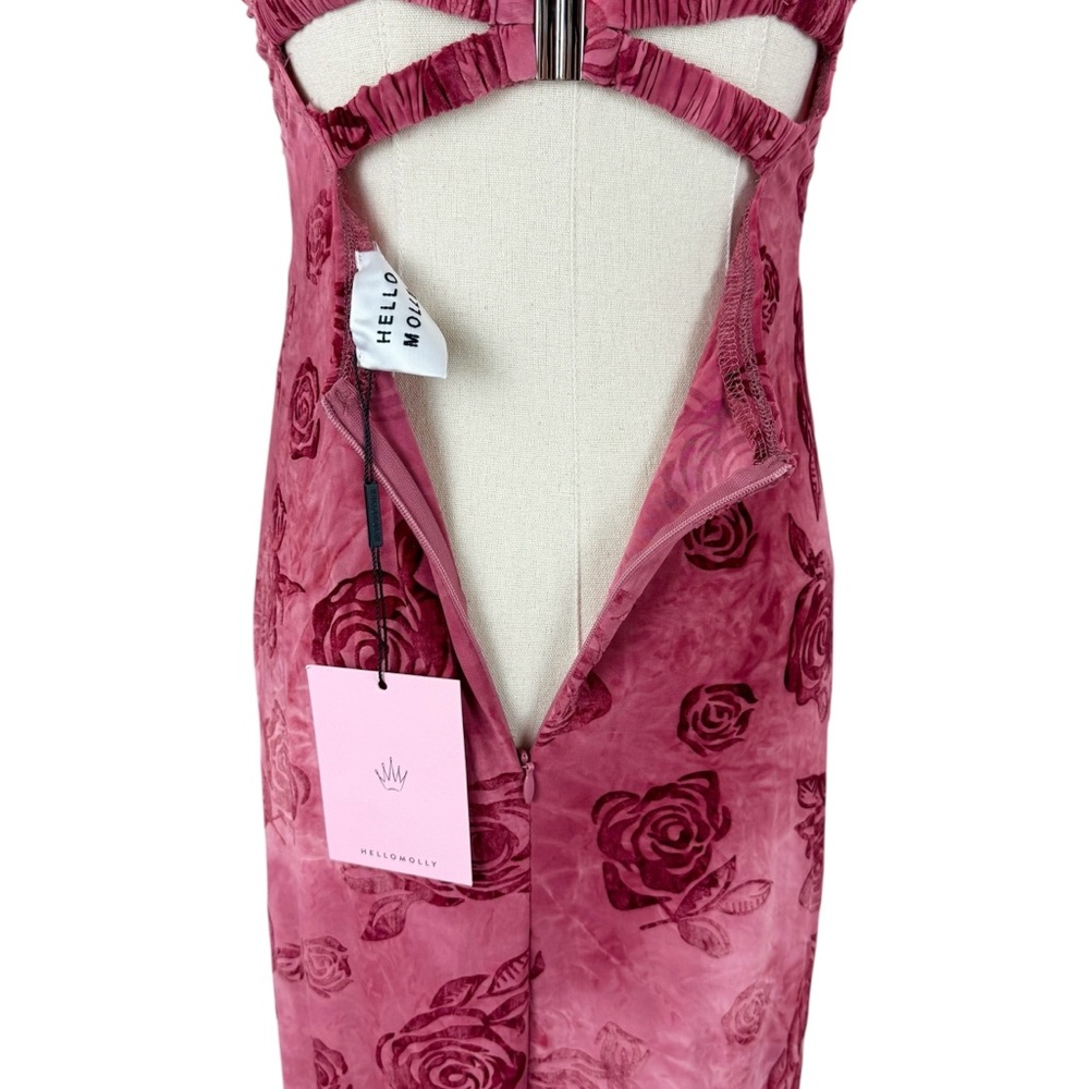 Hello Molly Found Myself Maxi Dress Pink Sz 4 NWT Floral Burnout Velvet - Picture 8 of 12
